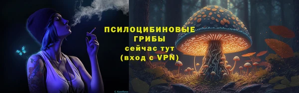 PSILOCYBIN Арсеньев