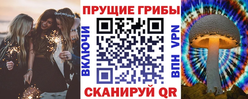 Галлюциногенные грибы Magic Shrooms  Гурьевск 